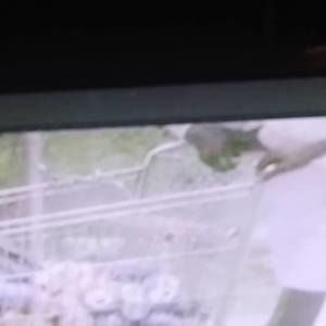 Meet your Posher, Steve